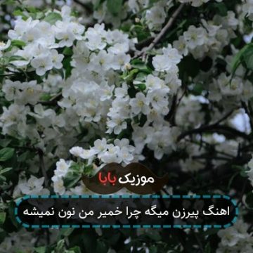 اهنگ پیرزن میگه چرا خمیر من نون نمیشه اهنگ پیرزن میگه چرا خمیر من نون نمیشه