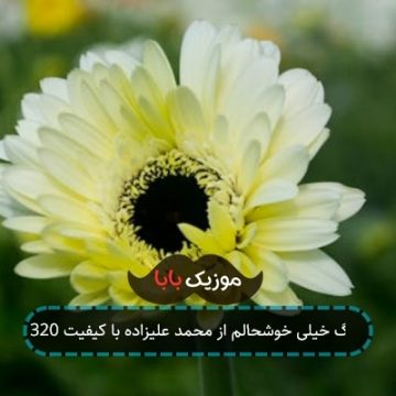 آهنگ خیلی خوشحالم از محمد علیزاده با کیفیت 320