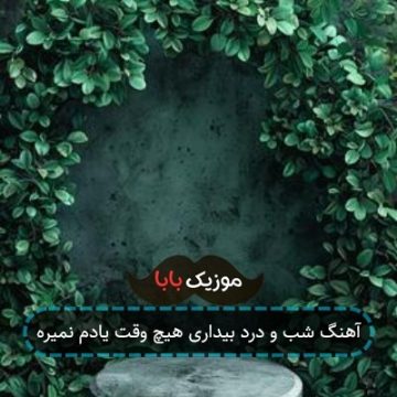 آهنگ شب و درد بیداری هیچ وقت یادم نمیره