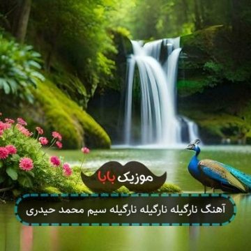 آهنگ نارگیله نارگیله نارگیله سیم محمد حیدری آهنگ نارگیله نارگیله نارگیله سیم محمد حیدری