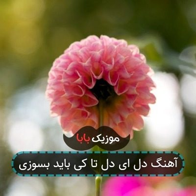 آهنگ دل ای دل تا کی باید بسوزی