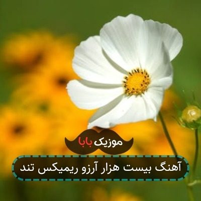 آهنگ بیست هزار آرزو ریمیکس تند