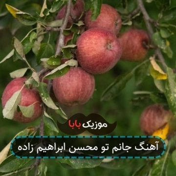 آهنگ من جانم تو جانانم تو بیمار شدم آهنگ من جانم تو جانانم تو بیمار شدم