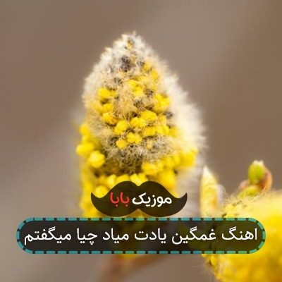 آهنگ محسن لرستانی یادت می آید