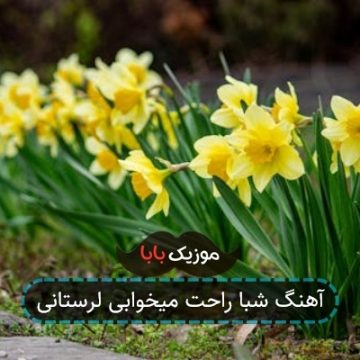 آهنگ شبا راحت میخوابی لرستانی