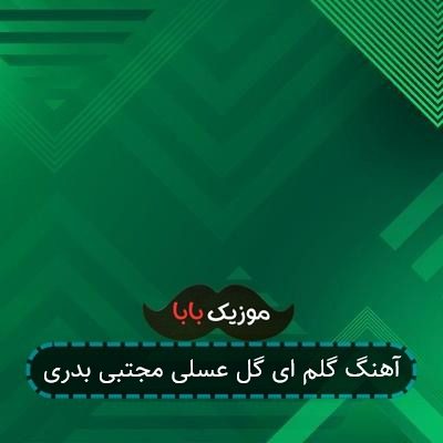 آهنگ گلم ای گل عسلی مجتبی بدری