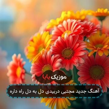 آهنگ جدید مجتبی دربیدی دل به دل راه داره آهنگ جدید مجتبی دربیدی دل به دل راه داره
