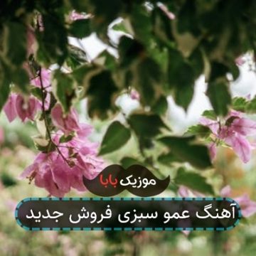 آهنگ اینستاگرام عمو سبزی فروش