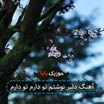 آهنگ دلبر نوشتم تو دارم تو دارم آهنگ دلبر نوشتم تو دارم تو دارم