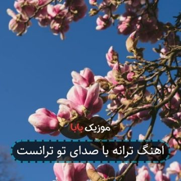 اهنگ ترانه با صدای تو ترانست
