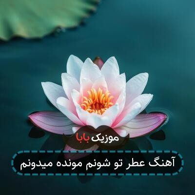 آهنگ عطر تو شونم مونده میدونم آهنگ عطر تو شونم مونده میدونم