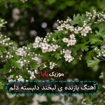 آهنگ مرتضی پاشایی بازنده لبخند آهنگ مرتضی پاشایی بازنده لبخند