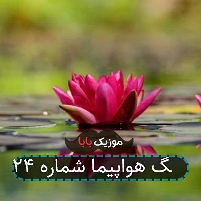 اهنگ هواپیما شماره 24 جناب خان اهنگ هواپیما شماره 24 جناب خان