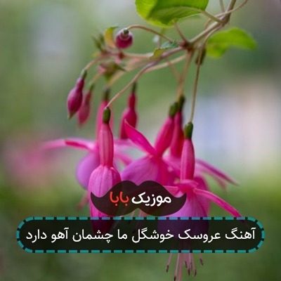 آهنگ عروسک خوشگل ما چشمان آهو دارد
