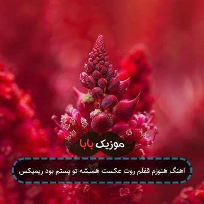 اهنگ هنوزم قفلم روت عکست همیشه تو پستم بود ریمیکس اهنگ هنوزم قفلم روت عکست همیشه تو پستم بود ریمیکس