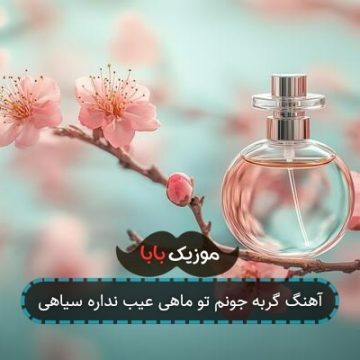 آهنگ گربه جونم تو ماهی عیب نداره سیاهی