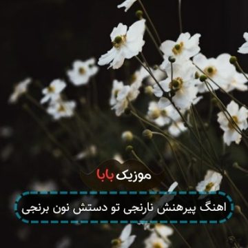 اهنگ پیرهنش نارنجی تو دستش نون برنجی اهنگ پیرهنش نارنجی تو دستش نون برنجی