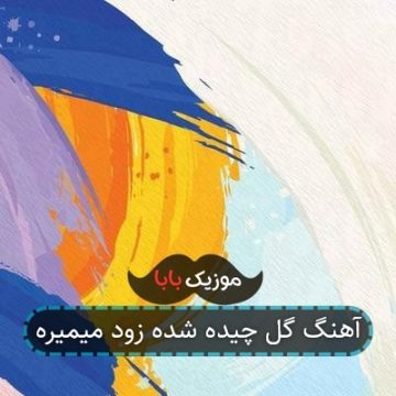آهنگ گل چیده شده زود میمیره