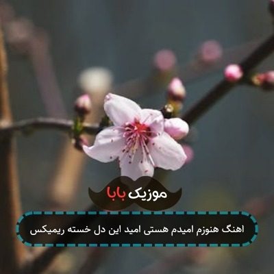 اهنگ هنوزم امیدم هستی امید این دل خسته ریمیکس