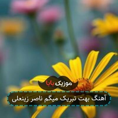 آهنگ بهت تبریک میگم ناصر زینعلی