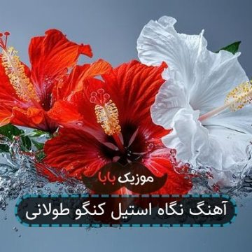 آهنگ نگاه استیل کنگو طولانی آهنگ نگاه استیل کنگو طولانی