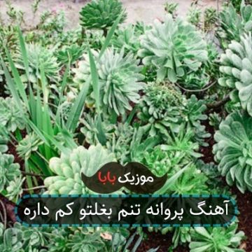 آهنگ پروانه تنم بغلتو کم داره