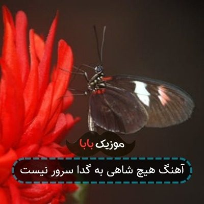 آهنگ هیچ شاهی به گدا سرور نیست