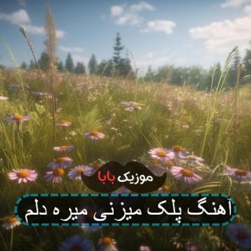 آهنگ پلک میزنی میره دلم