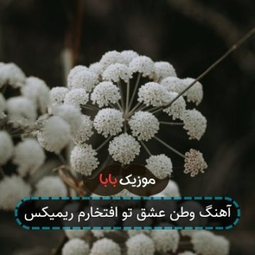 آهنگ افغانی افغانستان وطنم لاله زارم چمنم