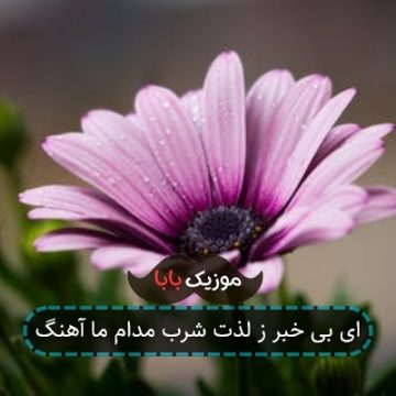 ای بی خبر ز لذت شرب مدام ما آهنگ