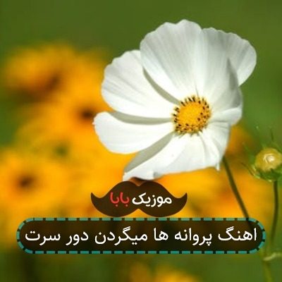 اهنگ پروانه ها میگردن دور سرت