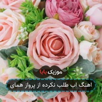 اهنگ اب طلب نکرده از پرواز همای اهنگ اب طلب نکرده از پرواز همای