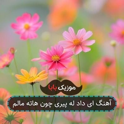 اهنگ اخ له پیری چون هاته مالم