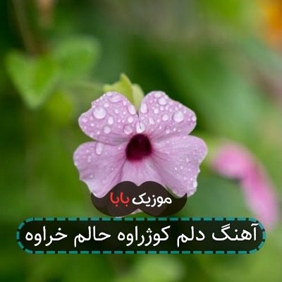 آهنگ دلم کوژراوه حالم خراوه