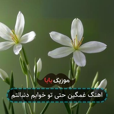 اهنگ غمگین حتی تو خوابم دنبالتم