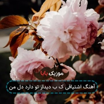 آهنگ اشتیاقی ک ب دیدار تو دارد دل من