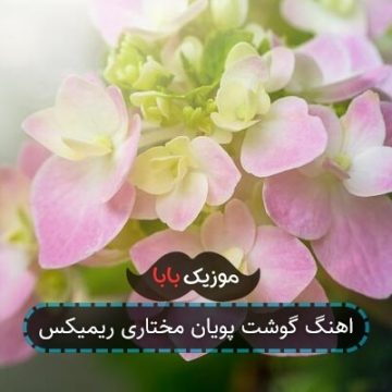 اهنگ گوشت پویان مختاری ریمیکس