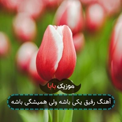 آهنگ رفیق یکی باشه ولی همیشگی باشه آهنگ رفیق یکی باشه ولی همیشگی باشه