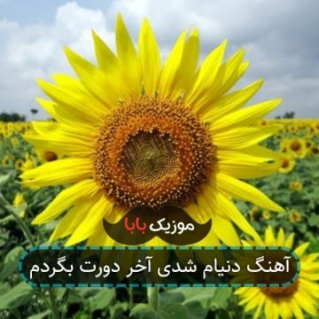 آهنگ دنیام شدی آخر دورت بگردم