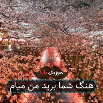 اهنگ شما برید من میام