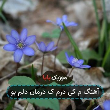 آهنگ م کی درم ک درمان دلم بو