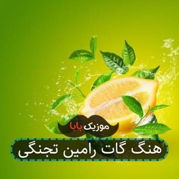 اهنگ گات رامین تجنگی