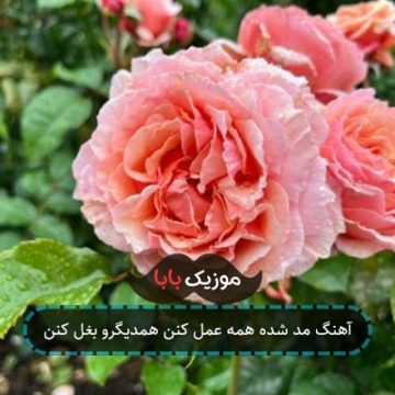 آهنگ مد شده همه عمل کنن همدیگرو بغل کنن آهنگ مد شده همه عمل کنن همدیگرو بغل کنن