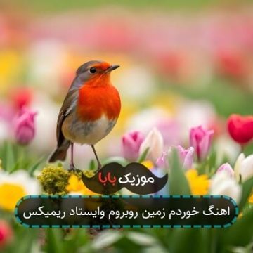 اهنگ خوردم زمین روبروم وایستاد ریمیکس