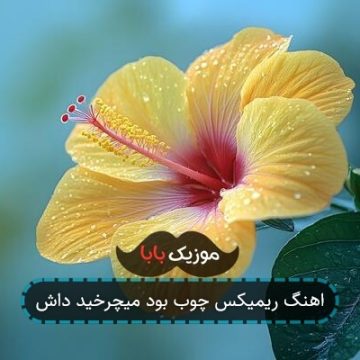 اهنگ ریمیکس چوب بود میچرخید داش اهنگ ریمیکس چوب بود میچرخید داش