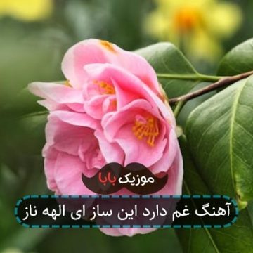 آهنگ غم دارد این ساز ای الهه ناز آهنگ غم دارد این ساز ای الهه ناز