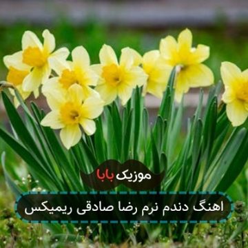 اهنگ دندم نرم رضا صادقی ریمیکس اهنگ دندم نرم رضا صادقی ریمیکس