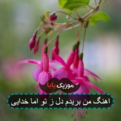 اهنگ من بریدم دل ز تو اما خدایی