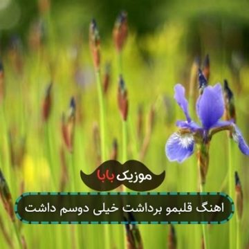 اهنگ قلبمو برداشت خیلی دوسم داشت اهنگ قلبمو برداشت خیلی دوسم داشت