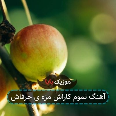 آهنگ تموم کاراش مزه ی حرفاش آهنگ تموم کاراش مزه ی حرفاش